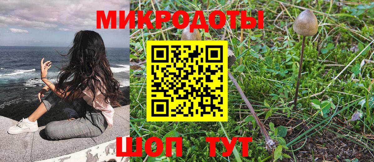 Галлюциногенные грибы ЛСД  Вход с VPN  Галлюциногенные грибы мухоморы  Богданович 