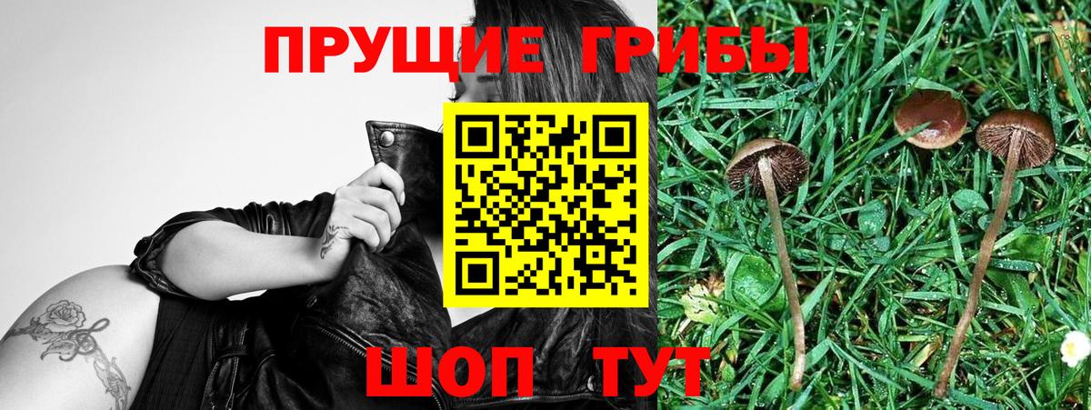 Галлюциногенные грибы Magic Shrooms Богданович
